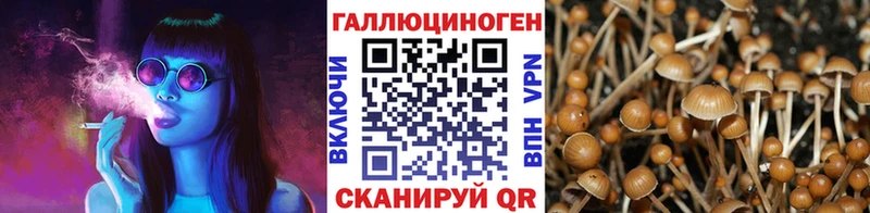Галлюциногенные грибы MAGIC MUSHROOMS Киселёвск