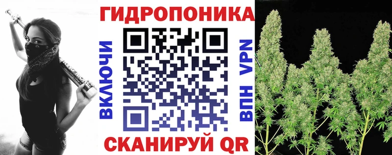 что такое Киселёвск Шишки марихуана THC 21%